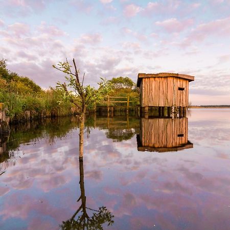 Ferienwohnung Hohner Seeblick Hohn  外观 照片